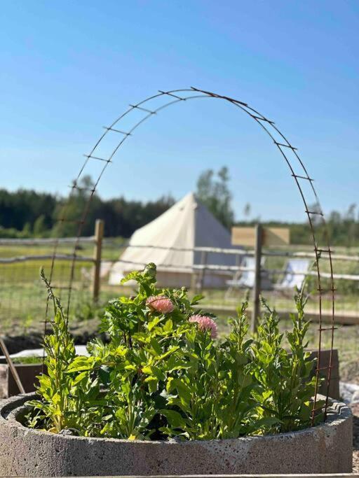 Mickels Bondgardsglamping Hotel Gottby Exterior photo